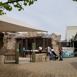 Long Island Aquarium - Critter Cove on left, arcade on right