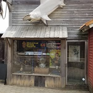 Long Island Aquarium - Outside theming