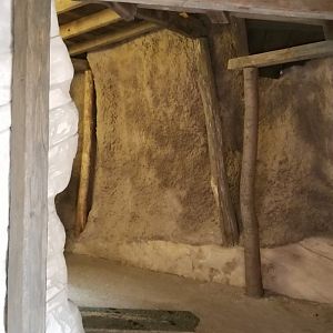 Long Island Aquarium - Path to coati