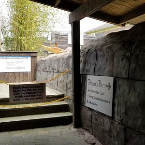 Long Island Aquarium - Shark Reef lagoon