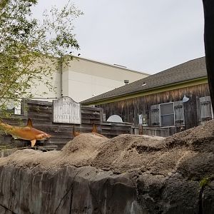 Long Island Aquarium - More theming