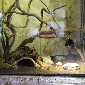 Long Island Aquarium - Ancient Reptile Ruins, unsigned monitor