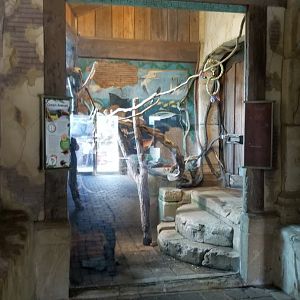 Long Island Aquarium - Ancient Reptile Ruins, green aracari