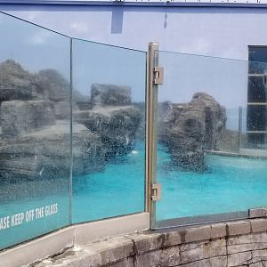 Long Island Aquarium - Sea Lion Coliseum