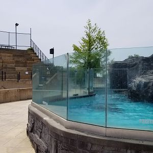 Long Island Aquarium - Sea Lion Coliseum