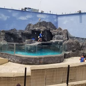 Long Island Aquarium - Sea Lion Coliseum
