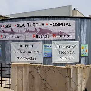 Long Island Aquarium - Rescue hospital