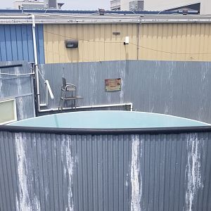 Long Island Aquarium - Rescue hospital