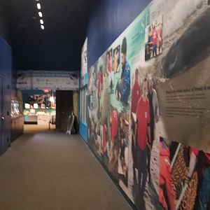 Long Island Aquarium - Hallway to exit