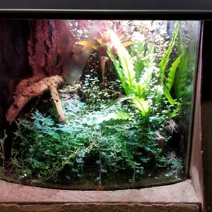 Long Island Aquarium - Empty?