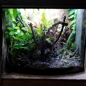 Long Island Aquarium - Empty?