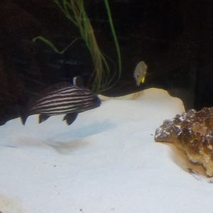 Long Island Aquarium - NY Marine Rescue Center room
