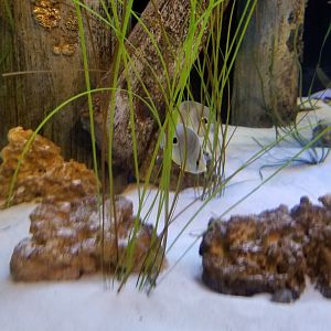 Long Island Aquarium - NY Marine Rescue Center room