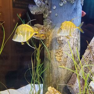 Long Island Aquarium - NY Marine Rescue Center room