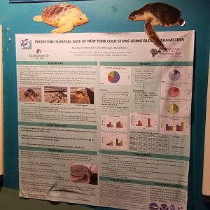 Long Island Aquarium - poster of scientific paper