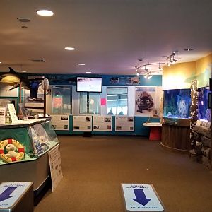 Long Island Aquarium - NY Marine Rescue Center room / exit