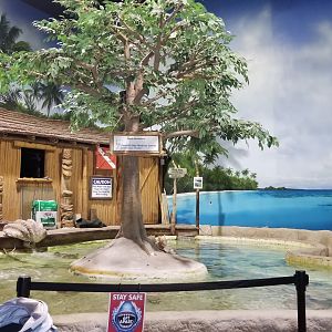 Long Island Aquarium - Touch Tank