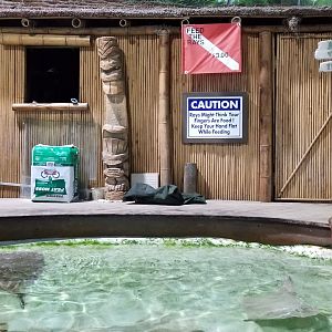 Long Island Aquarium - Touch Tank