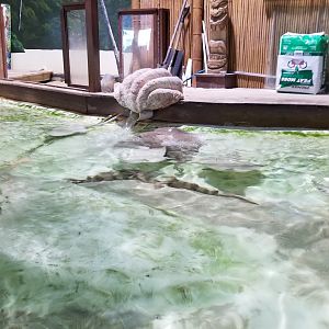 Long Island Aquarium - Touch Tank