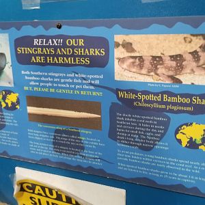 Long Island Aquarium - Touch Tank sign