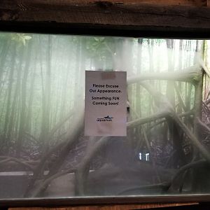Long Island Aquarium - Empty herp exhibit