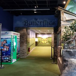 LI Aquarium - Hall to Butterfly exhibit
