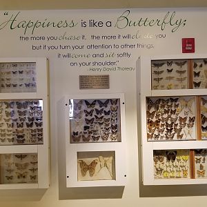 LI Aquarium, Butterfly exhibit - Outside entrance