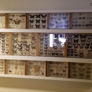 LI Aquarium, Butterfly exhibit - Outside entrance