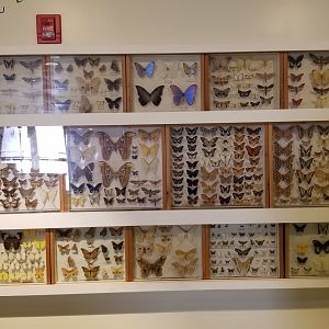 LI Aquarium, Butterfly exhibit - Outside entrance