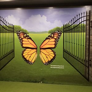 LI Aquarium, Butterfly exhibit - selfie wall