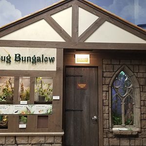 LI Aquarium, Butterfly exhibit - Bug bungalow
