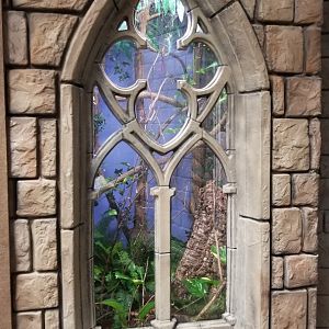 LI Aquarium, Butterfly exhibit - Golden orbweaver