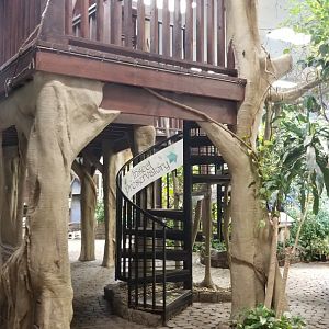 LI Aquarium, Butterfly exhibit - Staircase to upstairs viewing