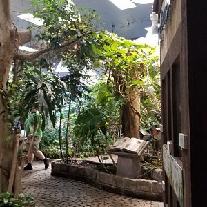 LI Aquarium, Butterfly exhibit