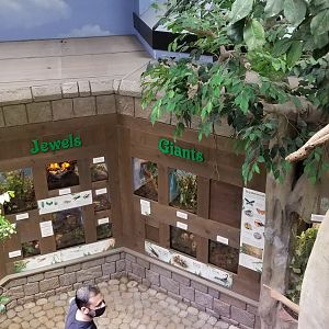 LI Aquarium, Butterfly exhibit - View from upstairs