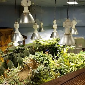 LI Aquarium, Butterfly exhibit - View from upstairs