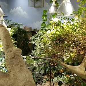 LI Aquarium, Butterfly exhibit - View from upstairs