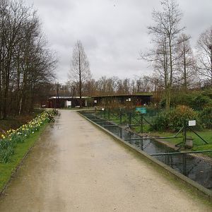 Former waterfowl breeding area where the South American aviary is now located, 2007-03-18