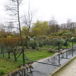 Former waterfowl breeding area where the South American aviary is now located, 2007-03-18