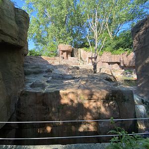 Jun. 2021 - Forests - Alaskan Brown Bear Exhibit