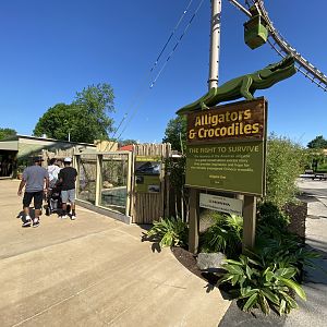 Jun. 2021 - New! Alligators & Crocodiles: The Fight to Survive (2021)