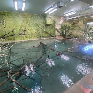 Jun. 2021 - New! Alligators & Crocodiles: The Fight to Survive (2021) - Indoor Alligator/Crocodile Exhibit