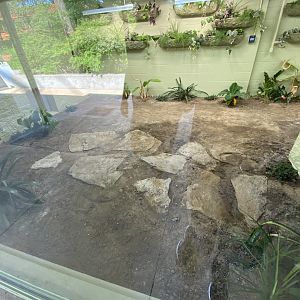 Jun. 2021 - New! Alligators & Crocodiles: The Fight to Survive - Indoor Exhibit Back View