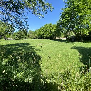 Jun. 2021 - Plains - Mixed-Species Savanna Exhibit (1.05 Acres)