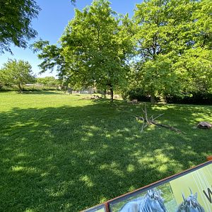 Jun. 2021 - Plains - Mixed-Species Savanna Exhibit (1.05 Acres)