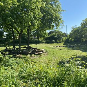Jun. 2021 - Plains - Reticulated Giraffe/Addra Gazelle Exhibit