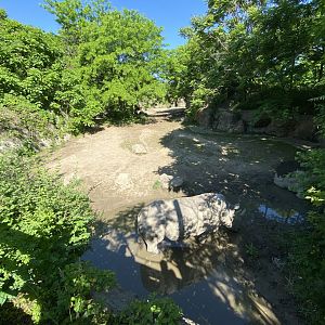Jun. 2021 - Plains - Southern White Rhino Exhibit