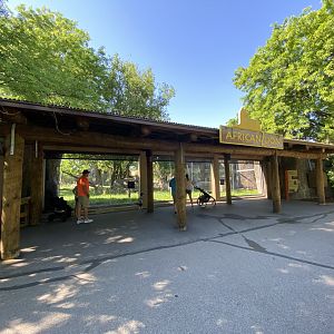 Jun. 2021 - Plains - Lion Exhibit Viewing Shelter