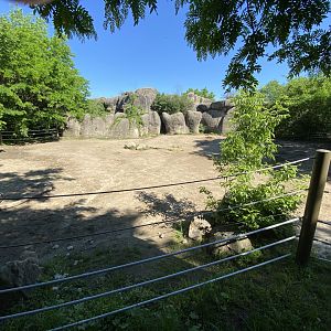 Jun. 2021 - Plains - Southern White Rhino Exhibit