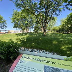 Jun. 2021 - Plains (Tembo Camp) - African Elephant Exhibit